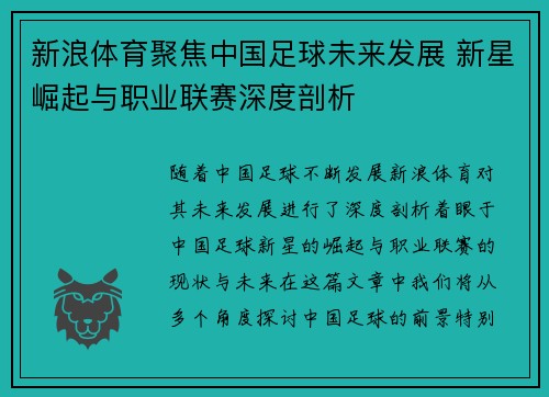 新浪体育聚焦中国足球未来发展 新星崛起与职业联赛深度剖析